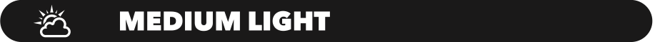 Medium Light